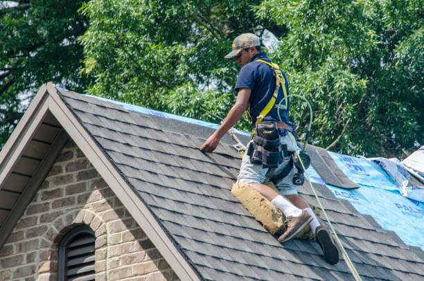 Best Roof Leak Repair  in Star Valley Ranch, WY